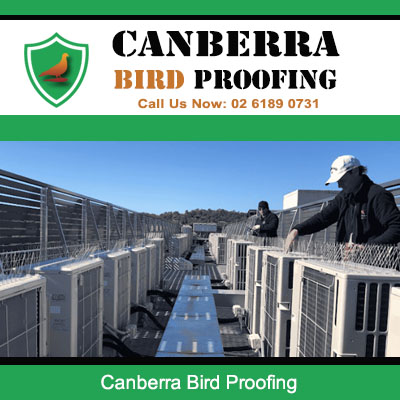 Bird proofing specialists installing protective netting on Canberra rooftop